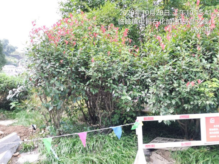 GZ【X】杭2020-019中国石化销售股份有限公司浙江杭州临岐加油站安全现状评价 网上公开信息表980.jpg