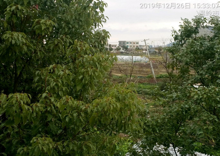 GZ【X】台2019-060 温岭市京运加油站现状评价 网上公开信息表673.jpg