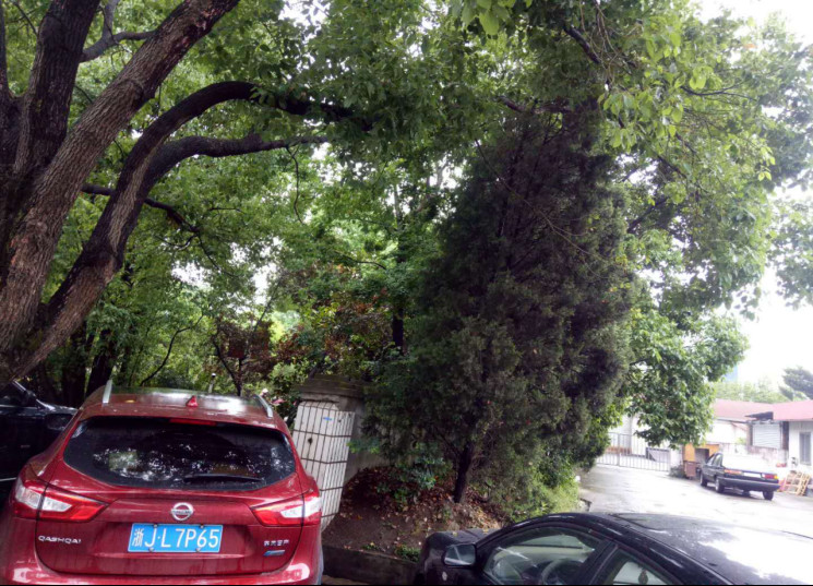 GZ【X】台2020-027 中国石化销售股份有限公司温岭第一加油站现状评价 网上公开信息表1016.jpg