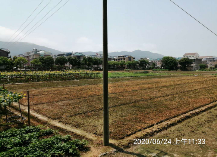 GZ【X】台2020-035 温岭市曙光加油站有限公司 安全现状评价报告 网上公开信息表1072.jpg