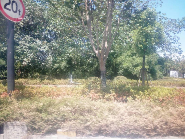 GZ【X】越2020-021中国石油天然气股份有限公司浙江绍兴山阴路加油站安全现状评价 网上公开信息表1014.jpg