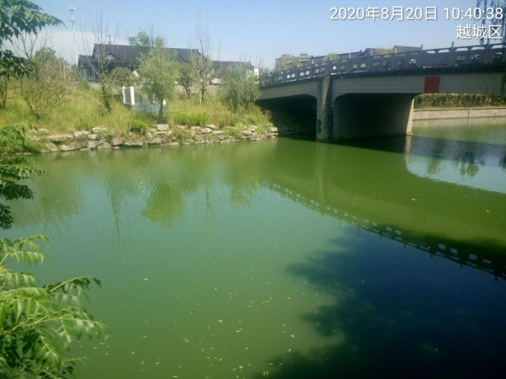 GZ【X】越2020-021中国石油天然气股份有限公司浙江绍兴山阴路加油站安全现状评价 网上公开信息表1047.jpg