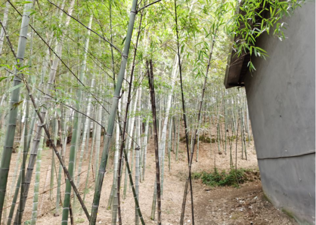 GZ【X】杭2020-006绍兴市柯桥区越宏铸造厂高温熔融金属作业安全现状评价 网上公开信息表756.png