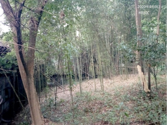 GZ【X】柯2020-003绍兴柯桥天煜铸件有限公司高温熔融金属作业安全现状评价 网上公开信息表818.png