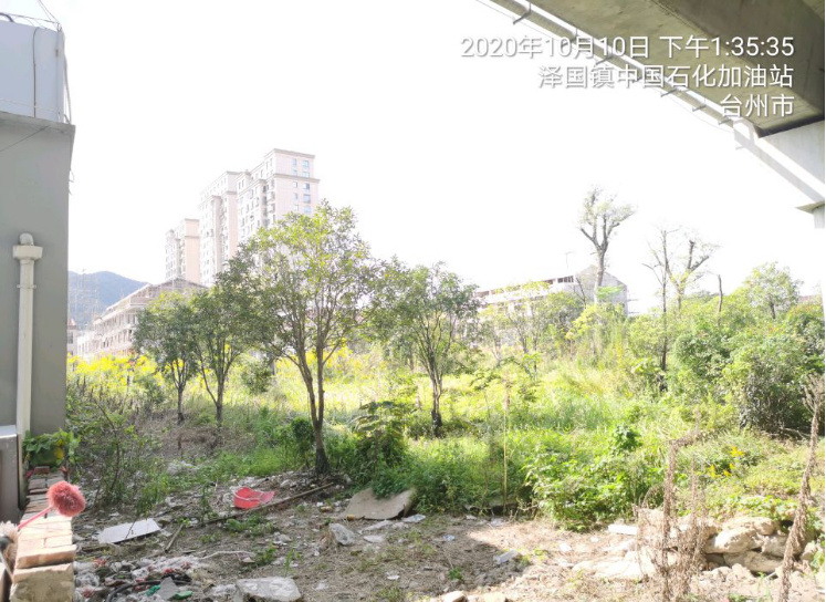 GZ【X】台2020-067中国石化销售股份有限公司浙江温岭凤城加油站 网上公开信息表1010.jpg