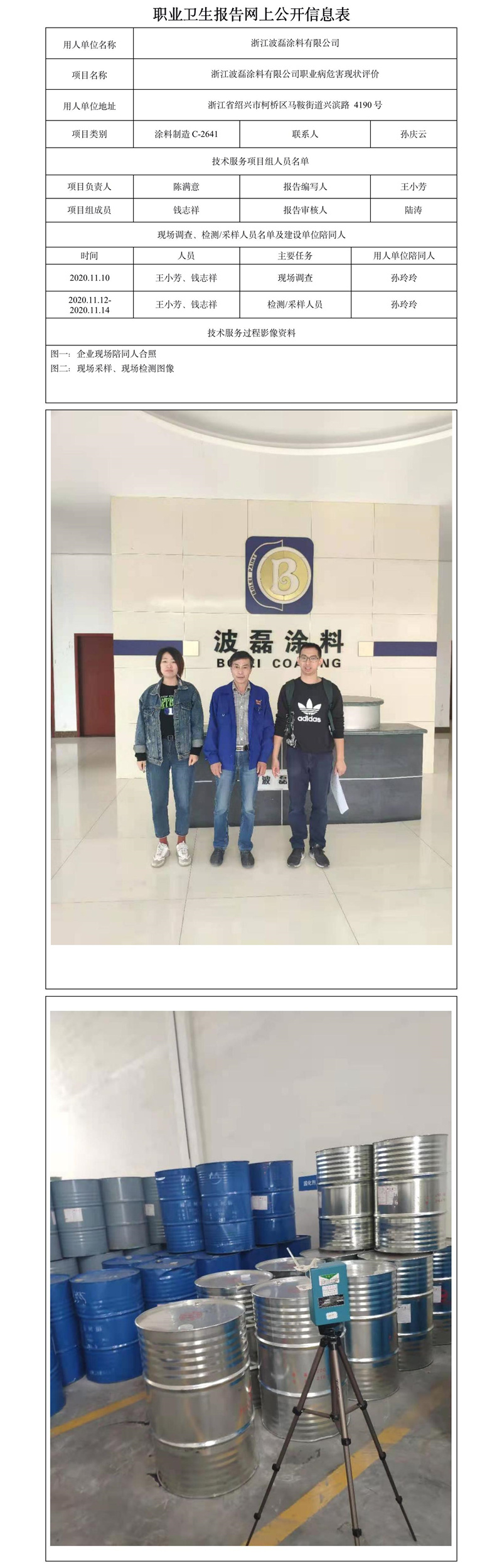 浙江波磊涂料有限公司职业病危害现状评价.jpg