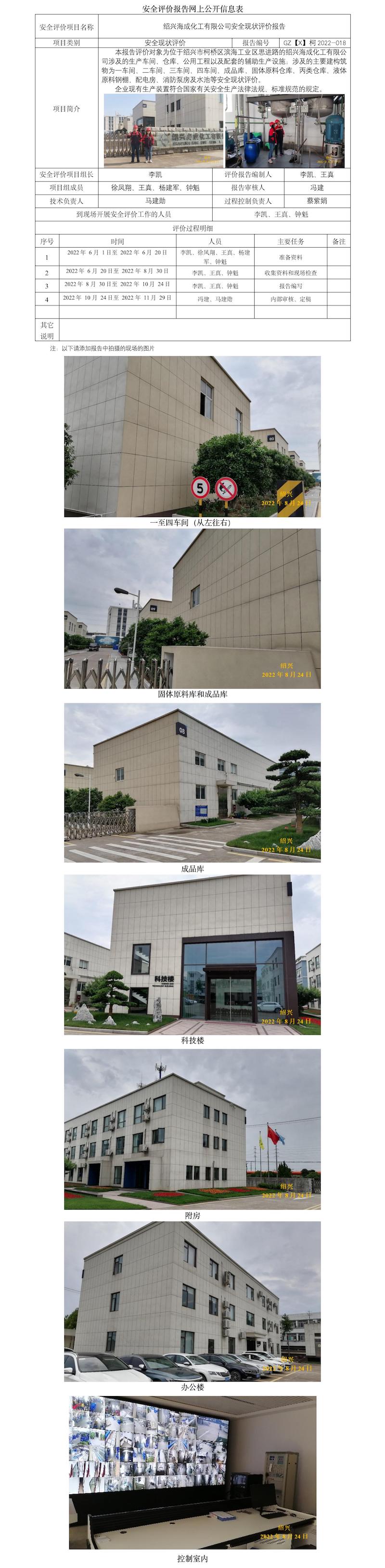 GZ【X】柯2022-018绍兴海成化工有限公司安全现状评价报告  网上公开信息表.jpg