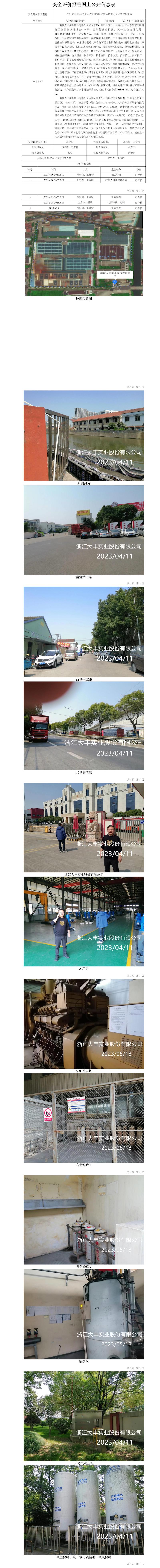 GZ【X】宁2023-034浙江大丰实业股份有限公司危险化学品使用安全现状评价报告网上公开信息表.jpg
