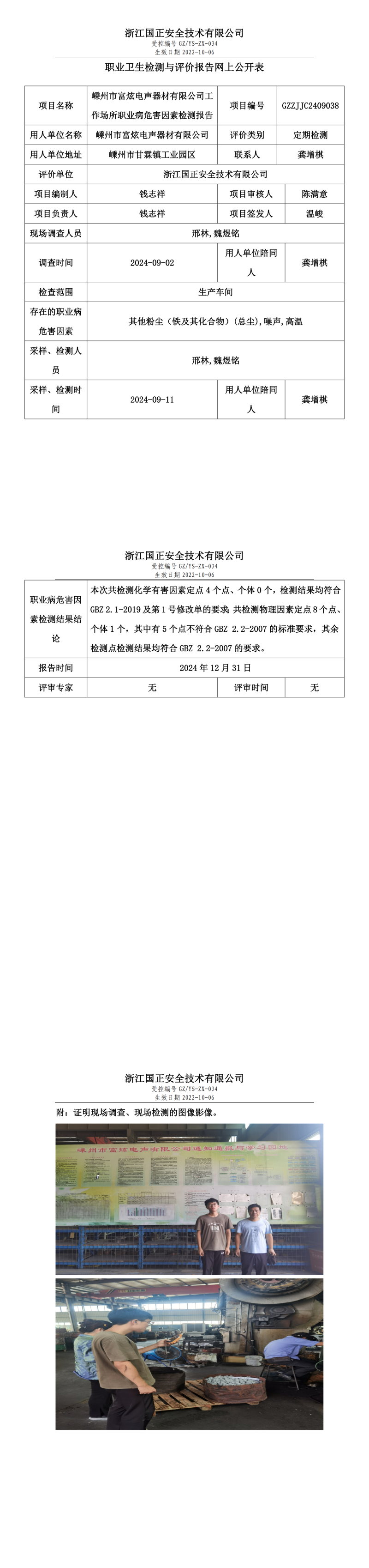 嵊州市富炫电声器材有限公司职业卫生检测与评价报告网上公开表.png